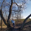 ���������� �����������, ���� ������� ����, 46 ���, ������������ ��� ������, ����� � ���������