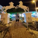 ���������� ����, ���� ������� ������, 32 ����, ������������ ��� ������, ����� � ���������, c�������� ���������, ���������