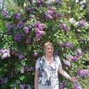  ,   , 52 ,   ,   , 