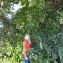 ���������� �����������, ���� ������� �����, 49 ���, ������������ ��� ������, ����� � ���������, c�������� ���������