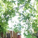  ,   , 43 ,   ,   