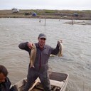  ,   Rr, 43 ,   ,   , c 