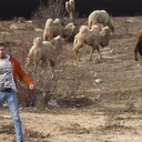 ���������� ���������, ���� ������� ������, 44 ����, ������������ ��� ������, ����� � ���������, c�������� ���������