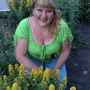 ���������� ������, ���� ������� ����, 53 ����, ������������ ��� ������, ����� � ���������, c�������� ���������