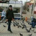 ���������� �����������, ���� ������� ���������, 28 ���, ������������ ��� ����� � ���������