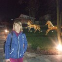  ,   , 46 ,   c , 