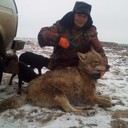 ���������� ������, ���� ������� �����, 38 ���, ������������ ��� ������, ����� � ���������, c�������� ���������