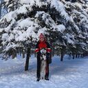 ���������� ���������, ���� ������� ������, 32 ����, ������������ ��� ������, ����� � ���������, c�������� ���������, ���������