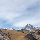  ,   Pharaoh, 26 ,   ,   