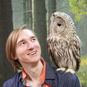 ���������� ������, ���� ������� �����, 31 ���, ������������ ��� ������, ����� � ���������