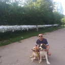 ���������� ��������������, ���� ������� ������, 40 ���, ������������ ��� ������, ����� � ���������, c�������� ���������