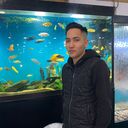 ���������� ��������, ���� ������� ���������, 26 ���, ������������ ��� ������, ����� � ���������