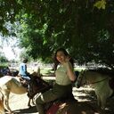 ���������� �����������, ���� ������� �����, 26 ���, ������������ ��� ����� � ���������, c�������� ���������, ���������