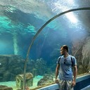 ���������� ������, ���� ������� �������, 26 ���, ������������ ��� ������, ����� � ���������