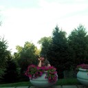 ���������� ���������, ���� ������� �������, 45 ���, ������������ ��� ����� � ���������, c�������� ���������