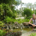 ���������� ���������, ���� ������� �������, 38 ���, ������������ 