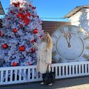 ���������� �����������, ���� ������� �����, 40 ���, ������������ ��� ����� � ���������, c�������� ���������