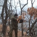 ���������� ����������, ���� ������� �������, 41 ���, ������������ ��� ������, ����� � ���������