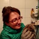 ���������� �����-���������, ���� ������� �����, 55 ���, ������������ ��� ����� � ���������