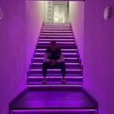 ���������� ������, ���� ����� Damir, 24 ����, ������������ ��� ������, ����� � ���������, c�������� ���������, ���������