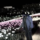 ���������� ���������, ���� ����� ���, 24 ����, ������������ ��� ����� � ���������, c�������� ���������