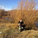  -,   , 38 ,   ,   , c 