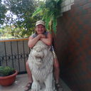  ,   , 57 ,   