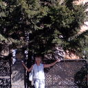  ,    , 48 ,     , c 