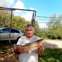 ���������� ������, ���� ������� �������, 67 ���, ������������ ��� ������, ����� � ���������, c�������� ���������, ���������