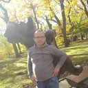  ,   , 50 ,   ,   , c 