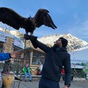 ���������� ������, ���� ������� ������, 37 ���, ������������ ��� ������, ����� � ���������, c�������� ���������