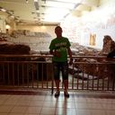 ���������� �������, ���� ������� Bad boy, 38 ���, ������������ ��� ������