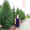  ,   , 65 ,     , c 