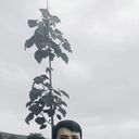 ���������� �������, ���� ������� Manucher, 26 ���, ������������ ��� ������, ����� � ���������