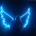 ���������� �����������, ���� ������� ��������, 28 ���, ������������ ��� ������, ����� � ���������, c�������� ���������, ���������