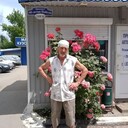  --,   , 66 ,  