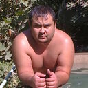  ,   Timur, 44 ,     , c , 