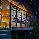 ���������� �����������, ���� ������� Mark, 43 ����, ������������ ��� ������, ����� � ���������