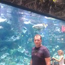  ,   , 46 ,   