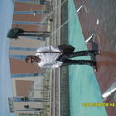 ���������� ������, ���� ������� ��������, 44 ����, ������������ ��� ������, ����� � ���������, c�������� ���������