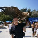  ,   Sidh, 41 ,   