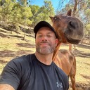 ���������� ������, ���� ������� ������, 41 ���, ������������ ��� ������, ����� � ���������, c�������� ���������