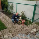 ���������� �����������, ���� ������� �����, 44 ����, ������������ ��� ������, ����� � ���������, c�������� ���������, ���������