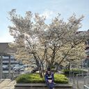  ,   , 29 ,   ,   , c , 