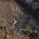 ���������� �����������, ���� ������� ������, 50 ���, ������������ ��� ������, ����� � ���������