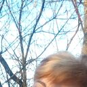 ���������� �����, ���� ������� ����, 54 ����, ������������ ��� ����� � ���������, c�������� ���������, ���������