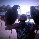 ���������� ����������, ���� ������� ������, 28 ���, ������������ ��� ������, ����� � ���������, c�������� ���������, ���������