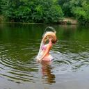 ���������� ������, ���� ������� ������, 29 ���, ������������ 