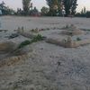  ,   Cepgei, 39 ,   ,   , c 