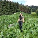 ���������� �������, ���� ������� ����, 33 ����, ������������ ��� ������, ����� � ���������